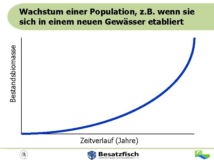 Bestandsbiomasse Wachstum einer Population, z. B. wenn sie sich in einem neuen Gewässer etabliert