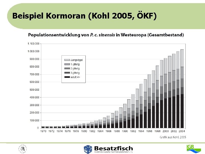 Beispiel Kormoran (Kohl 2005, ÖKF) 