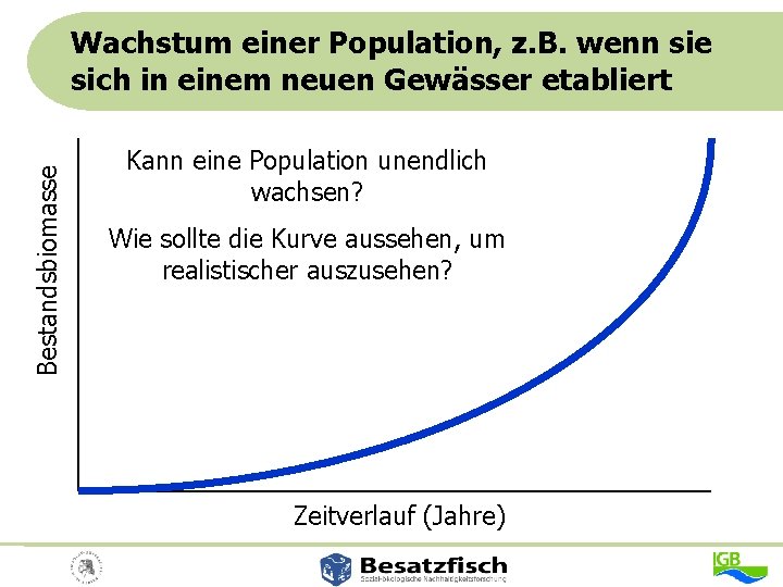 Bestandsbiomasse Wachstum einer Population, z. B. wenn sie sich in einem neuen Gewässer etabliert