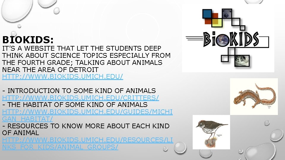 BIOKIDS: IT’S A WEBSITE THAT LET THE STUDENTS DEEP THINK ABOUT SCIENCE TOPICS ESPECIALLY