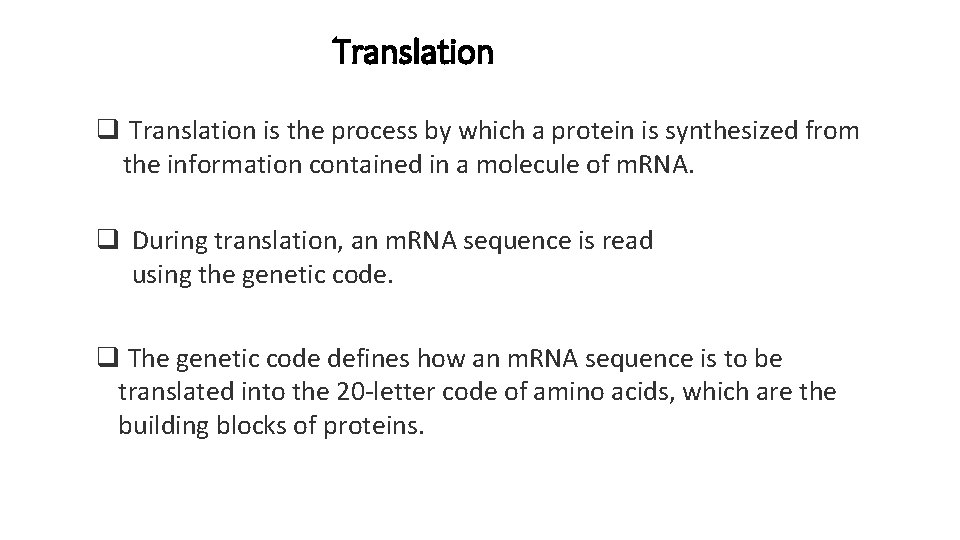 Translation q Translation is the process by which a protein is synthesized from the