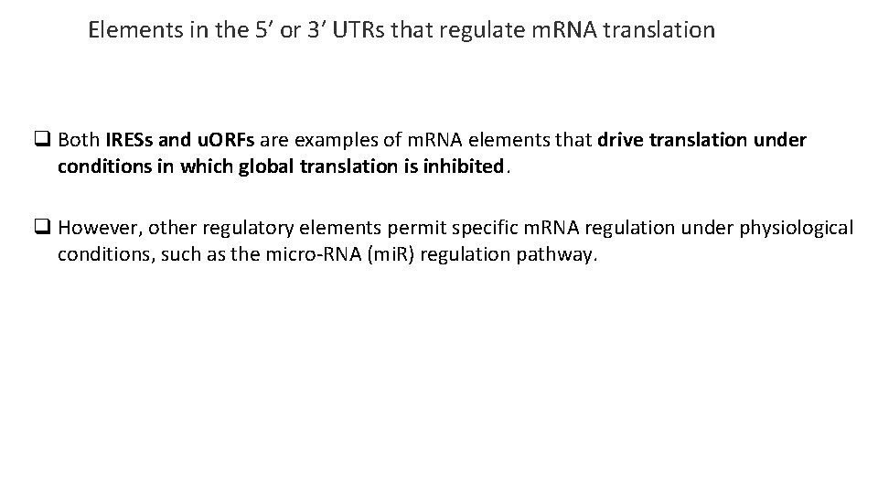 Elements in the 5′ or 3′ UTRs that regulate m. RNA translation q Both