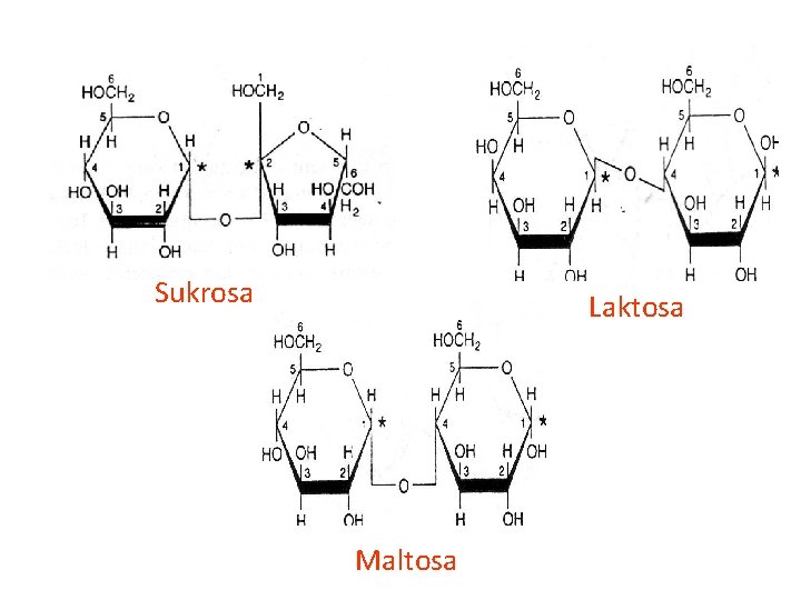 Sukrosa Laktosa Maltosa 