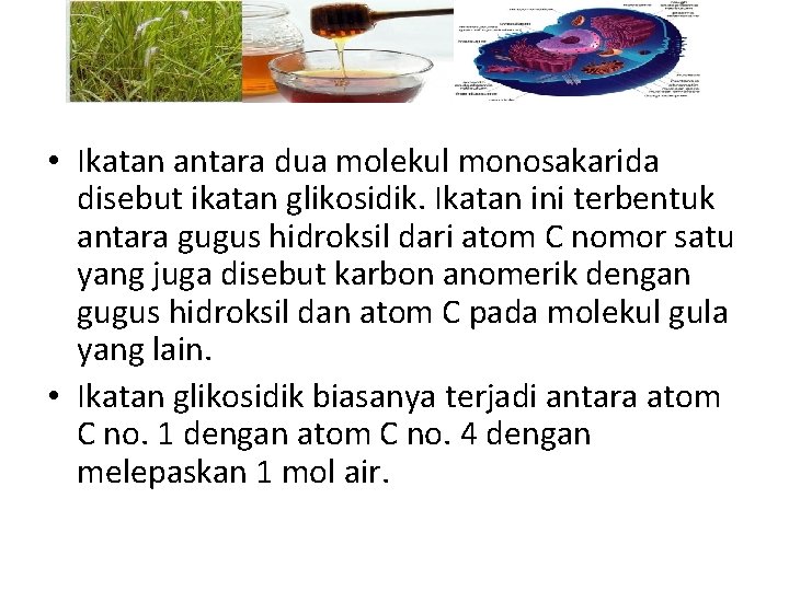  • Ikatan antara dua molekul monosakarida disebut ikatan glikosidik. Ikatan ini terbentuk antara