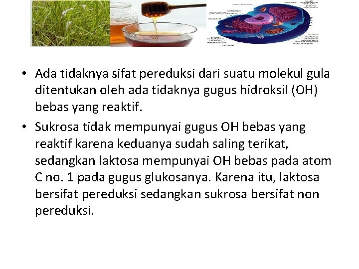 • Ada tidaknya sifat pereduksi dari suatu molekul gula ditentukan oleh ada tidaknya