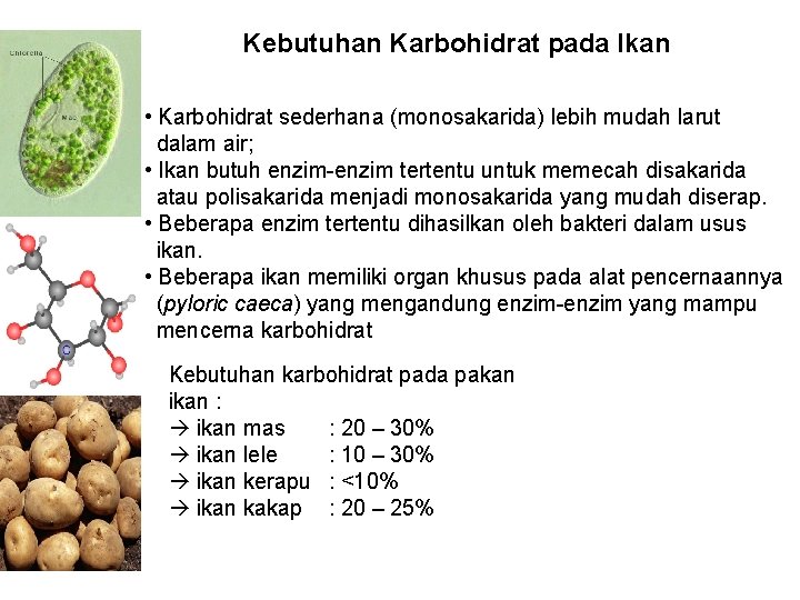 Kebutuhan Karbohidrat pada Ikan • Karbohidrat sederhana (monosakarida) lebih mudah larut dalam air; •