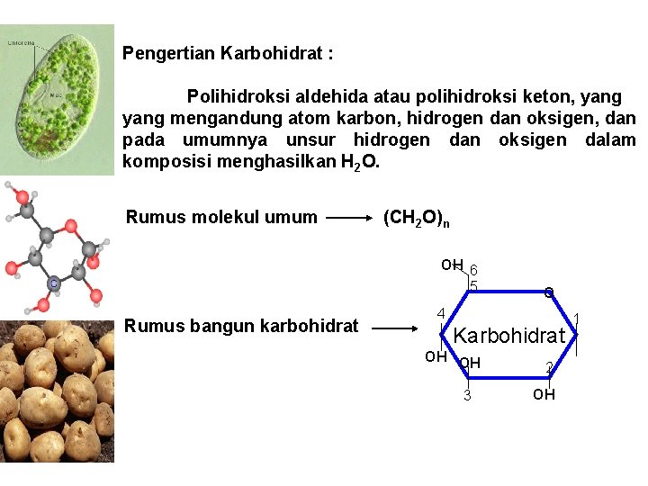Pengertian Karbohidrat : Polihidroksi aldehida atau polihidroksi keton, yang mengandung atom karbon, hidrogen dan