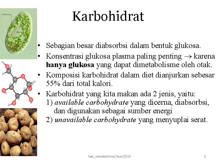 Karbohidrat • Sebagian besar diabsorbsi dalam bentuk glukosa. • Konsentrasi glukosa plasma paling penting
