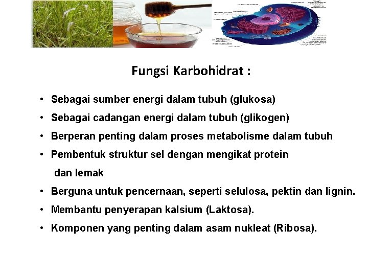 Fungsi Karbohidrat : • Sebagai sumber energi dalam tubuh (glukosa) • Sebagai cadangan energi