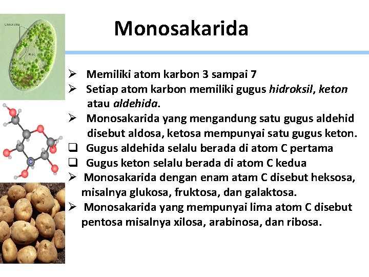 Monosakarida Ø Memiliki atom karbon 3 sampai 7 Ø Setiap atom karbon memiliki gugus