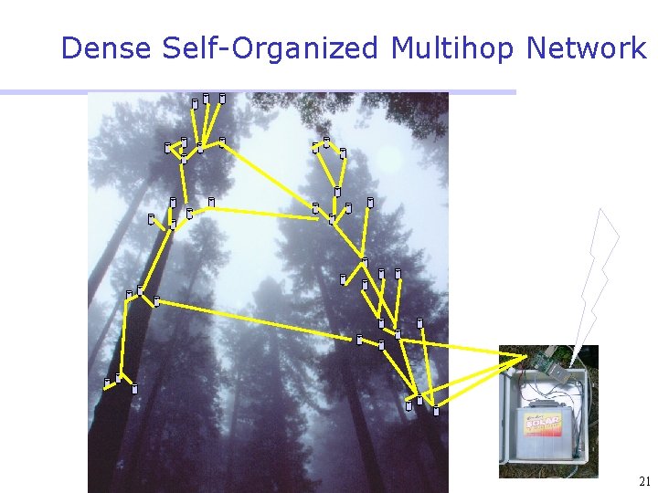 Dense Self-Organized Multihop Network 21 