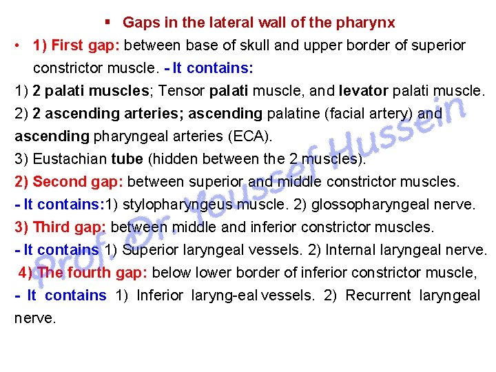  Gaps in the lateral wall of the pharynx • 1) First gap: between