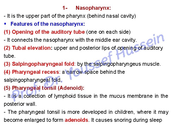 1 Nasopharynx: It is the upper part of the pharynx (behind nasal cavity) Features