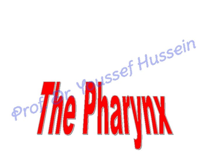 Pharynx 