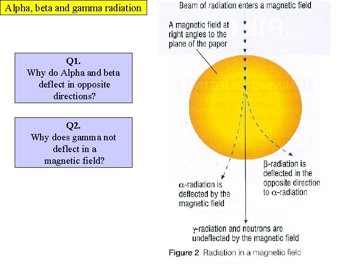 Alpha, beta and gamma radiation Q 1. Why do Alpha and beta deflect in