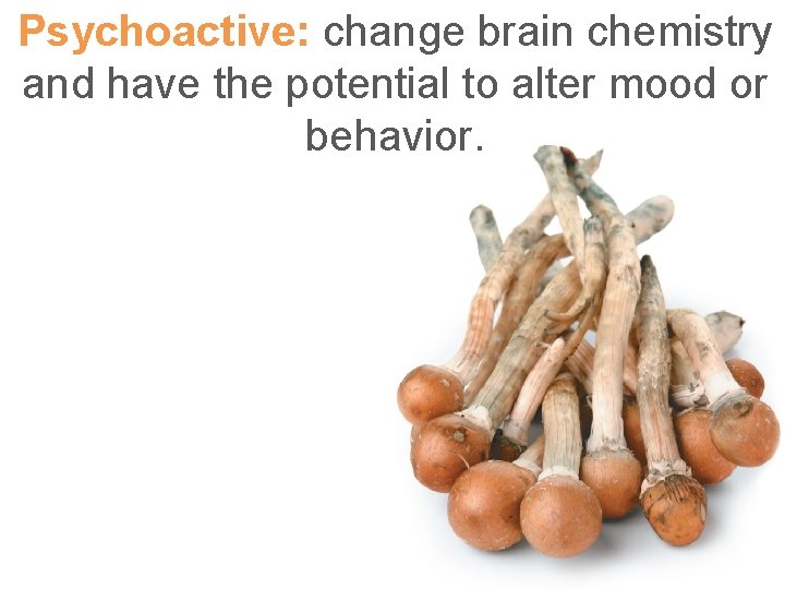 Psychoactive: change brain chemistry and have the potential to alter mood or behavior. 