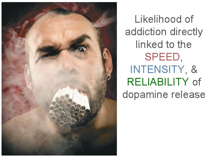 Likelihood of addiction directly linked to the SPEED, INTENSITY, & RELIABILITY of dopamine release