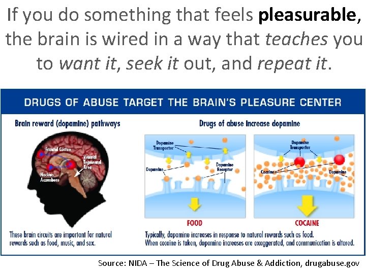 If you do something that feels pleasurable, the brain is wired in a way
