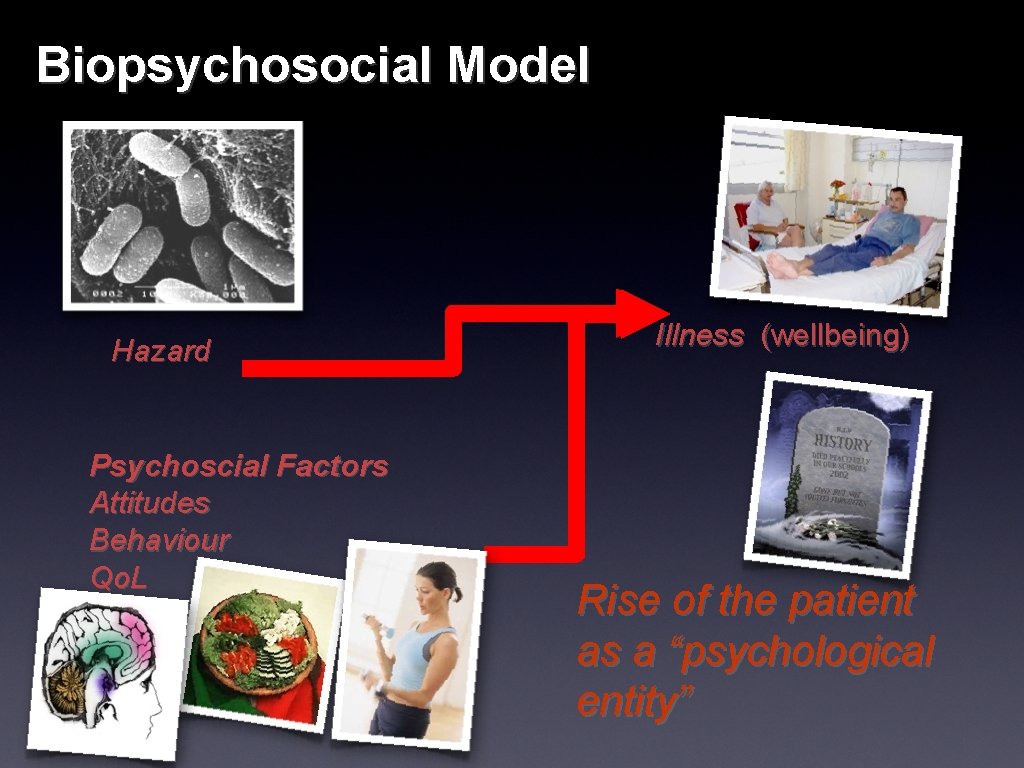Biopsychosocial Model Hazard Psychoscial Factors Attitudes Behaviour Qo. L Illness (wellbeing) Rise of the