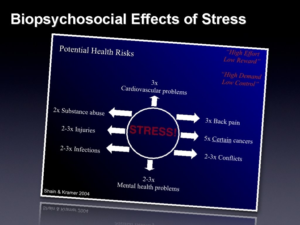 Biopsychosocial Effects of Stress 