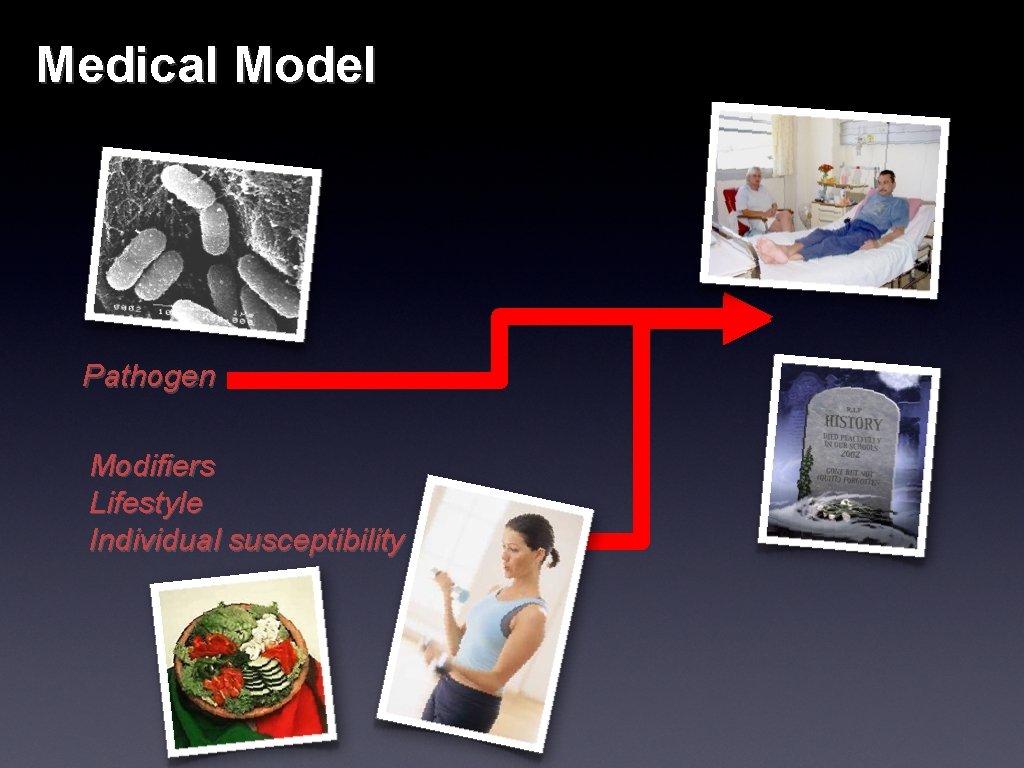 Medical Model Pathogen Modifiers Lifestyle Individual susceptibility 