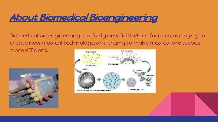 About Biomedical Bioengineering Biomedical bioengineering is a fairly new field which focuses on trying