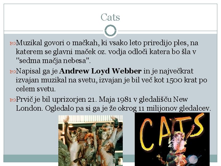 Cats Muzikal govori o mačkah, ki vsako leto priredijo ples, na katerem se glavni