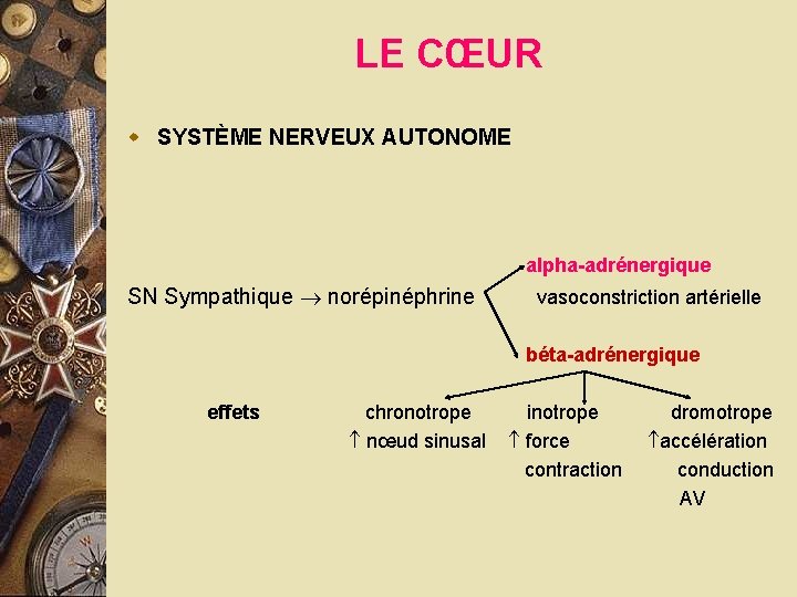 LE CŒUR w SYSTÈME NERVEUX AUTONOME alpha-adrénergique SN Sympathique norépinéphrine vasoconstriction artérielle béta-adrénergique effets