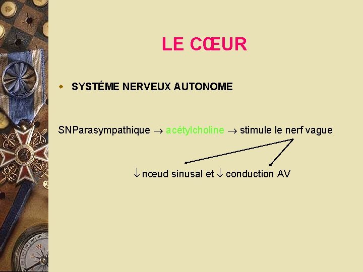 LE CŒUR w SYSTÉME NERVEUX AUTONOME SNParasympathique acétylcholine stimule le nerf vague nœud sinusal