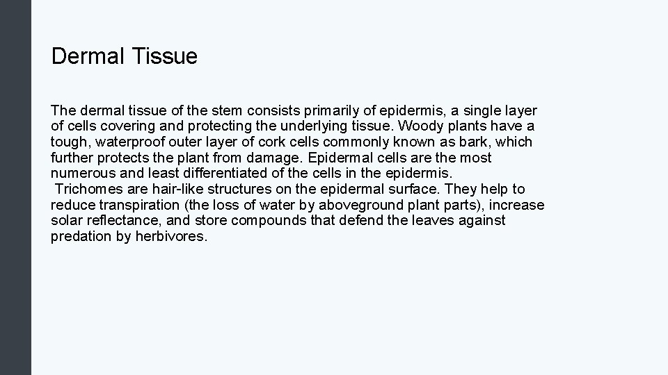 Dermal Tissue The dermal tissue of the stem consists primarily of epidermis, a single