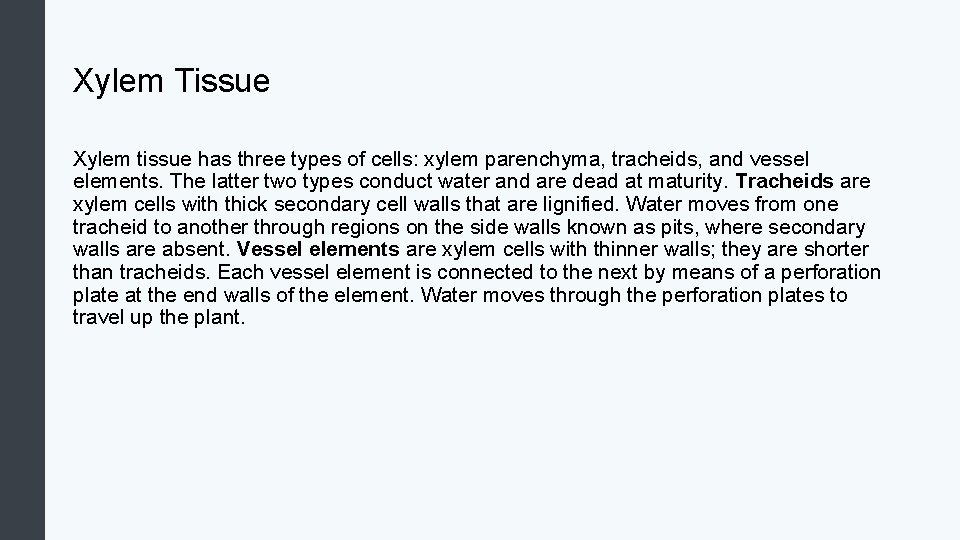 Xylem Tissue Xylem tissue has three types of cells: xylem parenchyma, tracheids, and vessel