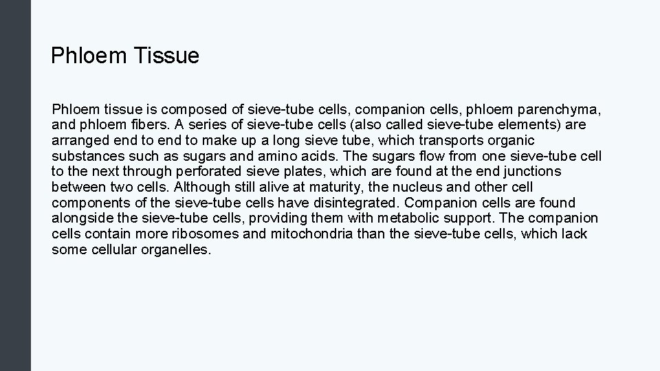 Phloem Tissue Phloem tissue is composed of sieve-tube cells, companion cells, phloem parenchyma, and