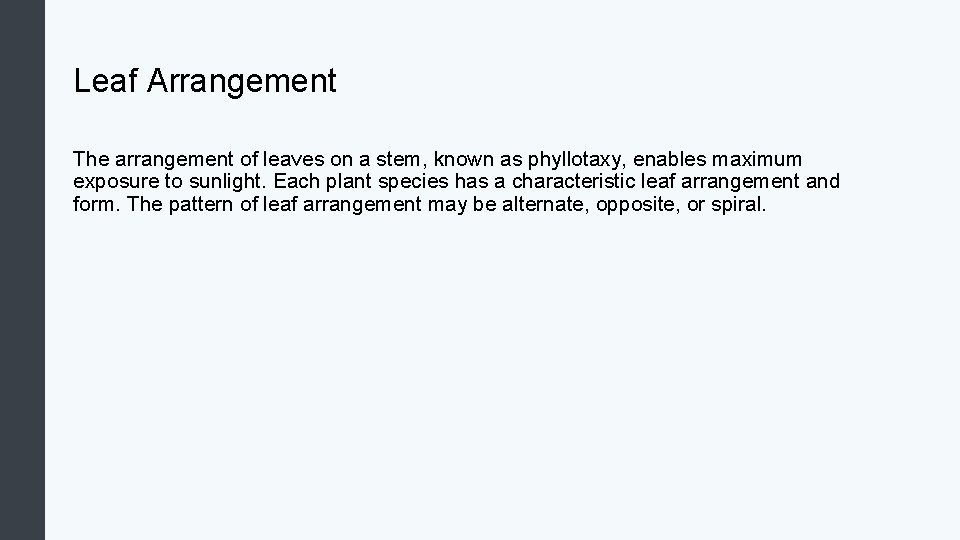 Leaf Arrangement The arrangement of leaves on a stem, known as phyllotaxy, enables maximum