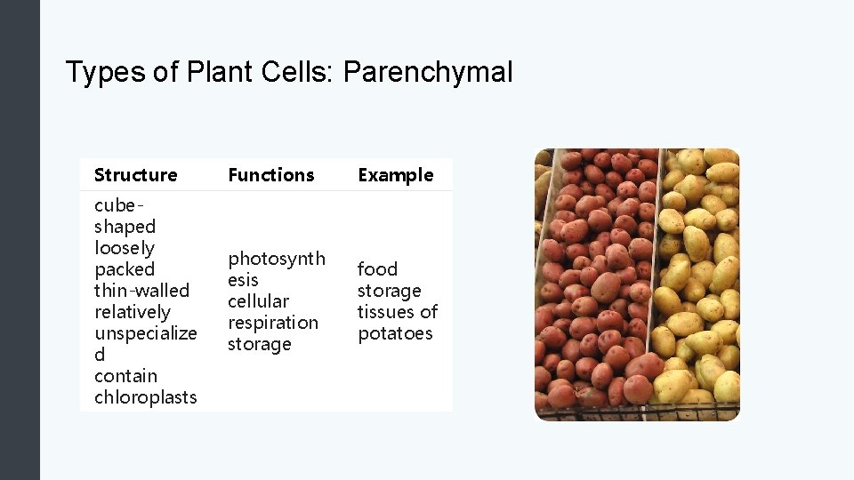 Types of Plant Cells: Parenchymal Structure Functions Example cubeshaped loosely packed thin-walled relatively unspecialize