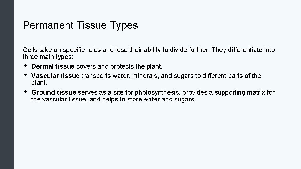Permanent Tissue Types Cells take on specific roles and lose their ability to divide