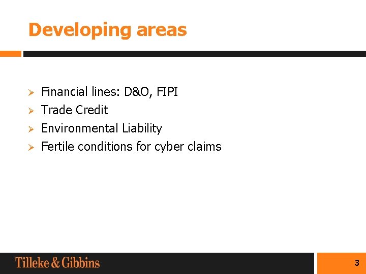 Developing areas Ø Ø Financial lines: D&O, FIPI Trade Credit Environmental Liability Fertile conditions