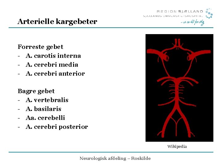Arterielle kargebeter Forreste gebet - A. carotis interna - A. cerebri media - A.
