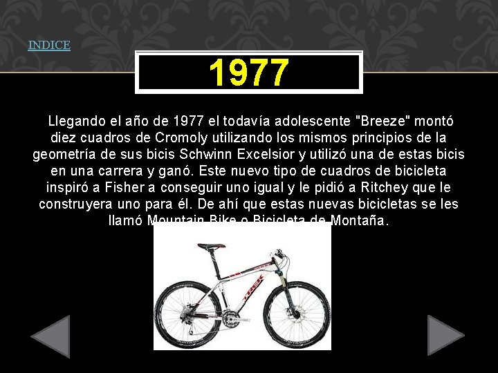 INDICE 1977 Llegando el año de 1977 el todavía adolescente "Breeze" montó diez cuadros