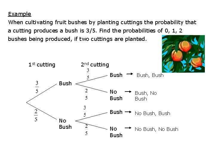 Example When cultivating fruit bushes by planting cuttings the probability that a cutting produces Example When cultivating fruit bushes by planting cuttings the probability that a cutting produces