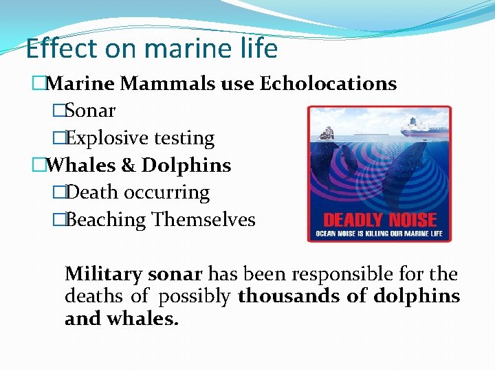 Effect on marine life �Marine Mammals use Echolocations �Sonar �Explosive testing �Whales & Dolphins