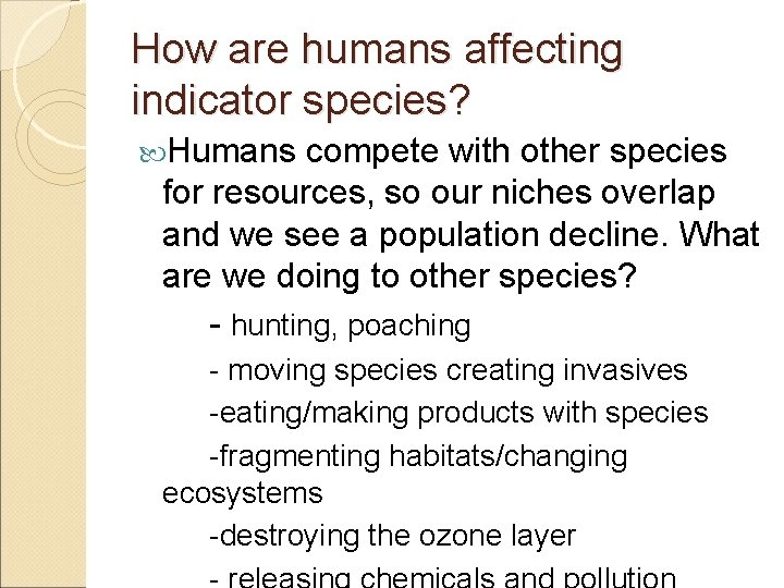 How are humans affecting indicator species? Humans compete with other species for resources, so