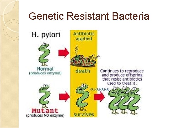 Genetic Resistant Bacteria 
