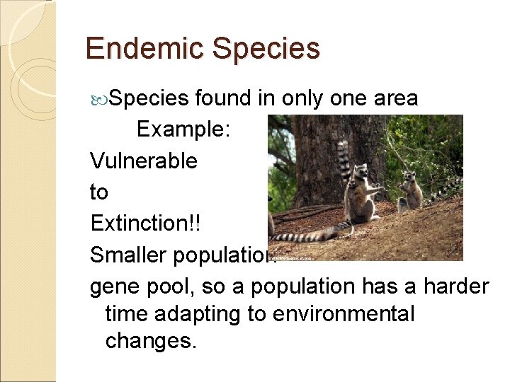 Endemic Species found in only one area Example: Vulnerable to Extinction!! Smaller population gene