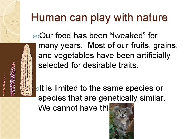 Human can play with nature Our food has been “tweaked” for many years. Most