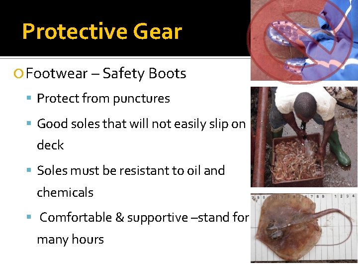 Protective Gear Footwear – Safety Boots Protect from punctures Good soles that will not