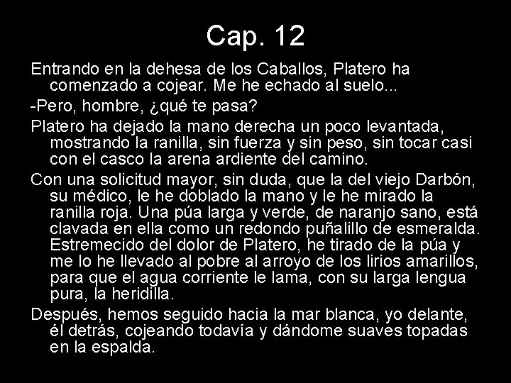 Cap. 12 Entrando en la dehesa de los Caballos, Platero ha comenzado a cojear.