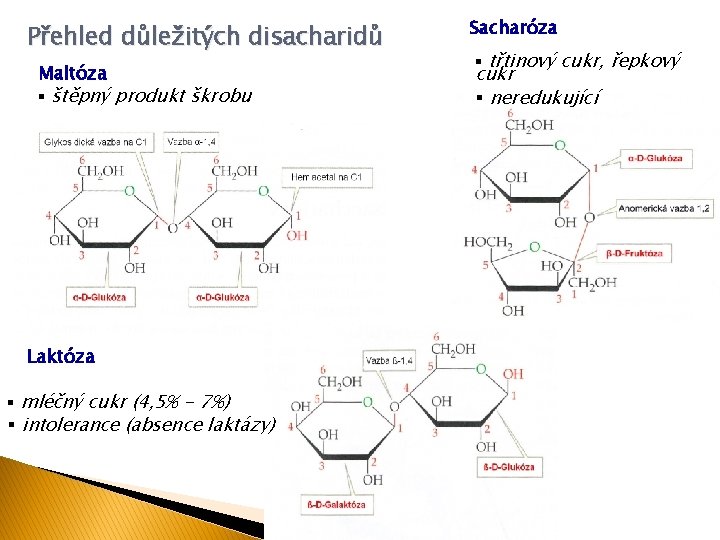Přehled důležitých disacharidů Maltóza § štěpný produkt škrobu Laktóza § mléčný cukr (4, 5%