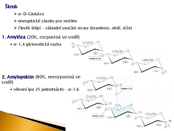 Škrob Ø α-D-Glukóza Ø energetické zásoby pro rostliny Ø člověk štěpí - základní součást