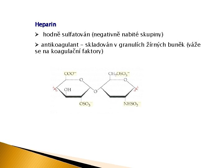 Heparin Ø hodně sulfatován (negativně nabité skupiny) Ø antikoagulant - skladován v granulích žírných