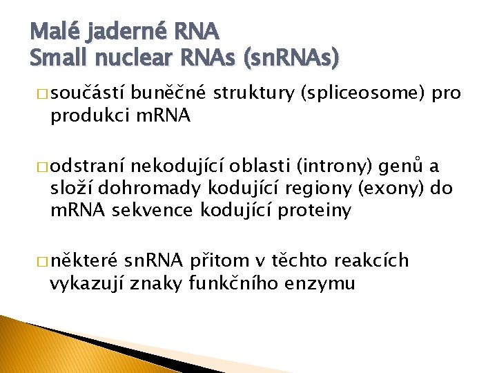 Malé jaderné RNA Small nuclear RNAs (sn. RNAs) � součástí buněčné struktury (spliceosome) produkci